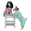 Pucci Couture Hooded Warm Up Suit - XS Mint