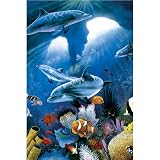 Bucket of Fun Dolphin Paradise 500 pc Pint