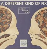 A Different Kind of Fix [Vinyl LP] [VINYL]