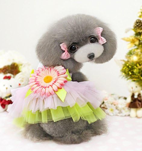 PoodleHouse Pet Dresses with Sunflower Design Lace and Cotton Daisy Dog Dresses Pomeranian XX-Small