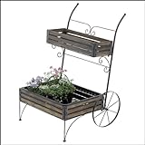 ディスプレイ カート 2タ段 (AT-69)