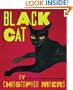 Black Cat (Coretta Scott King Illustrator Honor Books)