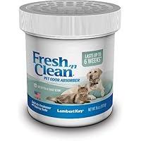 Lambert Kay Fresh 'N Clean Pet Odor Absorber, Green Tea and Sage Scent, 16-Ounce