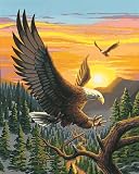 Dimensions PaintWorks/Paint By Number, Eagle