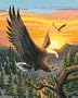 Dimensions PaintWorks/Paint By Number, Eagle