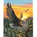 Dimensions PaintWorks/Paint By Number, Eagle