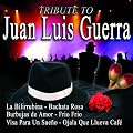 Juan Luis Guerra Tribute