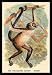 Sporting Goods : The Variegated Spider-Monkey 12x18 Giclee on canvas