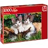 Jumbo Games Two Kittens 1000 Piece Jigsaw Puzzle