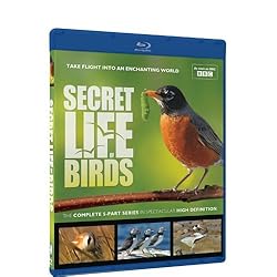 Secret Life of Birds - Blu-ray