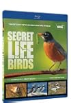 Secret Life of Birds  5 Part S [Blu-ray]