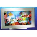 Aquarium Motion Lamp