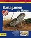 Bartagamen zu Hause