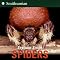 Books I use for a Kindergarten Science unit on Spiders