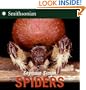 Spiders