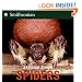 Spiders