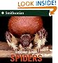 Spiders