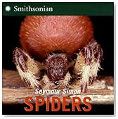 Spiders
