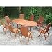 Vista Nine Piece Dining Set