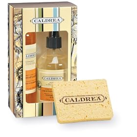Caldrea Kitchen Starter Set, Citrus Mint Ylang Ylang, 16-Ounce Box