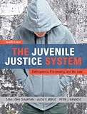 The juvenile justice system : delinquency, processing, and the law