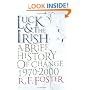 Luck and the Irish: A Brief History of Change, 1970-2000 (Allen Lane History)