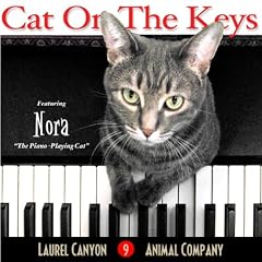 NORA(The Piano Cat) See Noras Song Video On YouTube