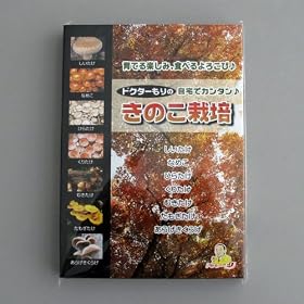 �}�j���A��DVD�u����ŃJ���^�����̂��͔|�v