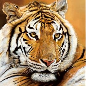 Carte d'Art: Danielle Beck "Portrait d`Aliba" 14 x 14