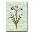 Get Well with Iris - 5" x 7" Vellum Overlay Greeting Card