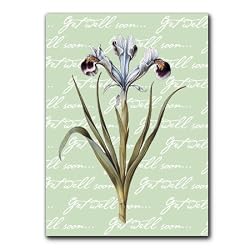 Get Well with Iris - 5" x 7" Vellum Overlay Greeting Card