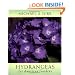 Hydrangeas for American Gardens