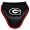 Georgia Bulldogs