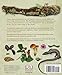 The Practical Naturalist