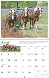 2009 Mischka Draft Horse Wall Calendar
