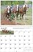 Sporting Goods : 2009 Mischka Draft Horse Wall Calendar