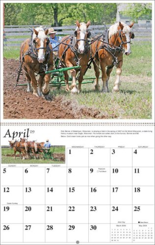 Childrens Toyshop  Sporting Goods : 2009 Mischka Draft Horse Wall Calendar