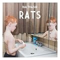 Rats