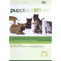 Puppies & Kittens (Widescreen)