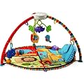 Fisher-Price Luv U Zoo Musical Activity Gym (Deluxe)