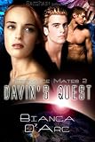Davin's Quest (Resonance Mates)