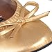 Sidekicks Foldable Ballet Flat Shoes with Carrying Case