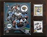 NFL Jacksonville Jaguars 2011 Team Plaque