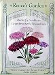 Butterfly Scabiosa Grandmother's Pincushion Heirloom Seeds 35 Seeds