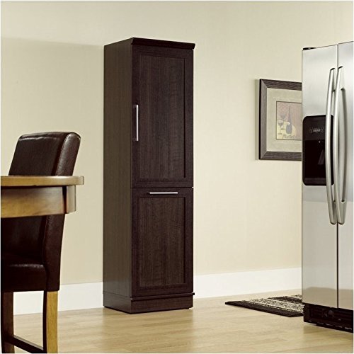 Sauder homeplus storage cabinet, dakota oak finish