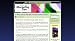 Best Free Marketing Tips