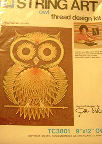 Vintage Open Door String Art Kit Owl 9 X 12
