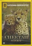 DVD : National Geographic : A Cheetah Story