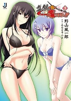 真剣で私に恋しなさい！！(3) (一迅社文庫)
