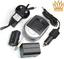 Compatible Accessory Kit - High-Capacity Rechargeable Lithium-ion Battery and Battery Charger ( Mains Leads & Car ) for / fits digital camera/camcorder model SONY HDR-TG3